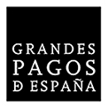 Cata-Estudio de Vinos de Grandes Pagos de España