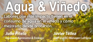 Webinar Lallemand "Labores que más impacto tienen en el consumo de agua en el viñedo y cómo mejorarlo desde brotación".