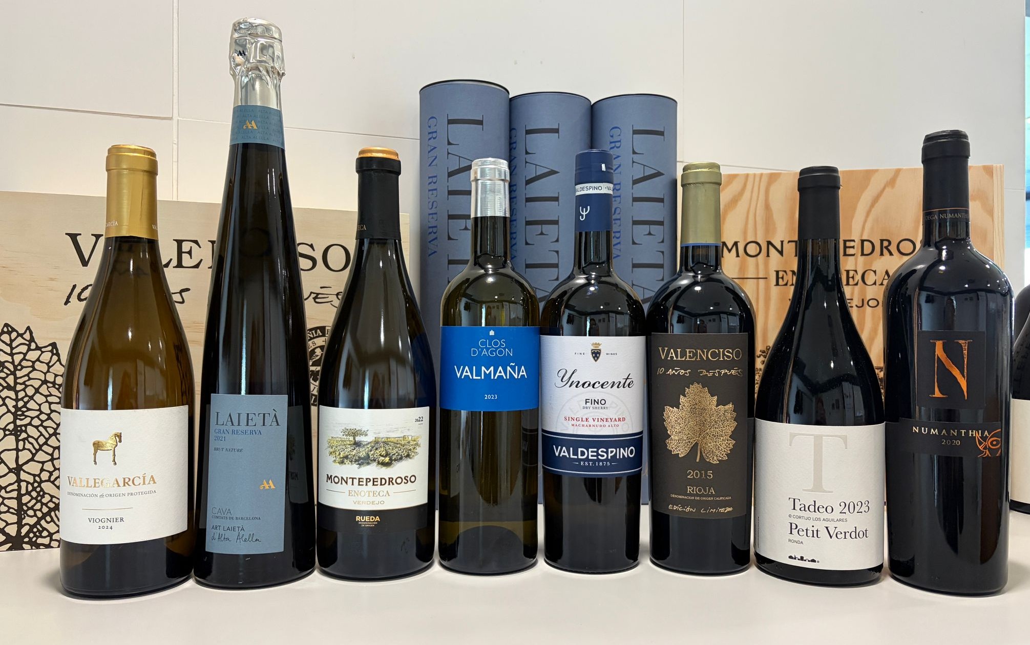 Cata-Estudio de Vinos de Grandes Pagos de España