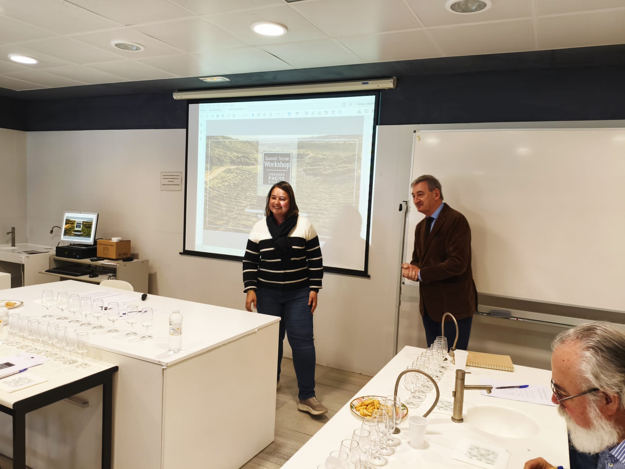 Cata-Estudio de Vinos de Grandes Pagos de España