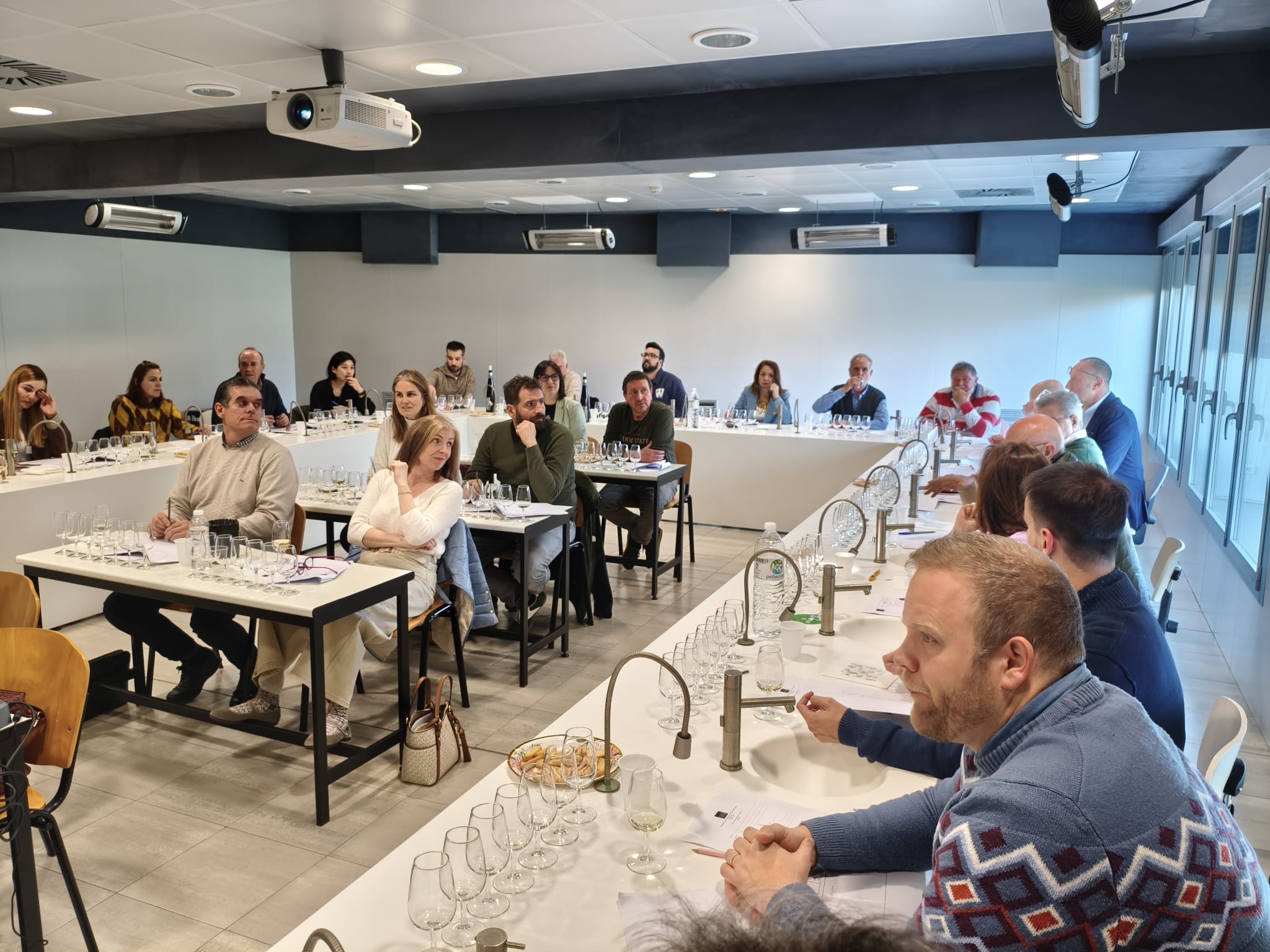 Cata-Estudio de Vinos de Grandes Pagos de España