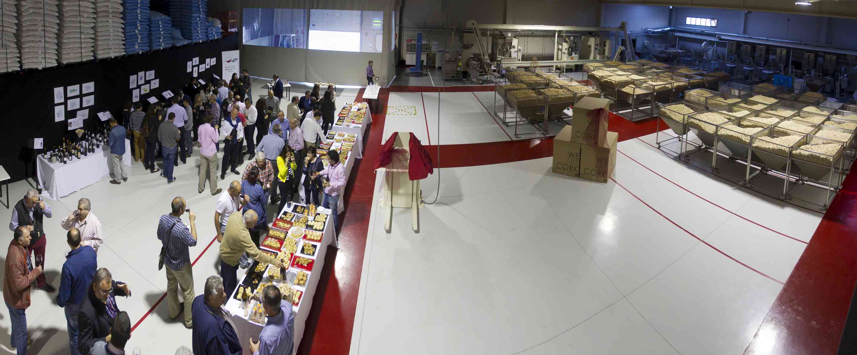 Cata Non-typical Spanish !! (Parte 1)