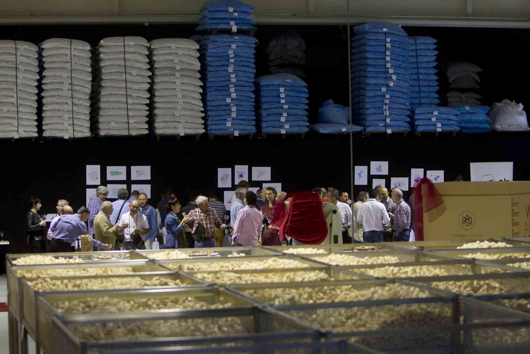 Cata Non-typical Spanish !! (Parte 1)