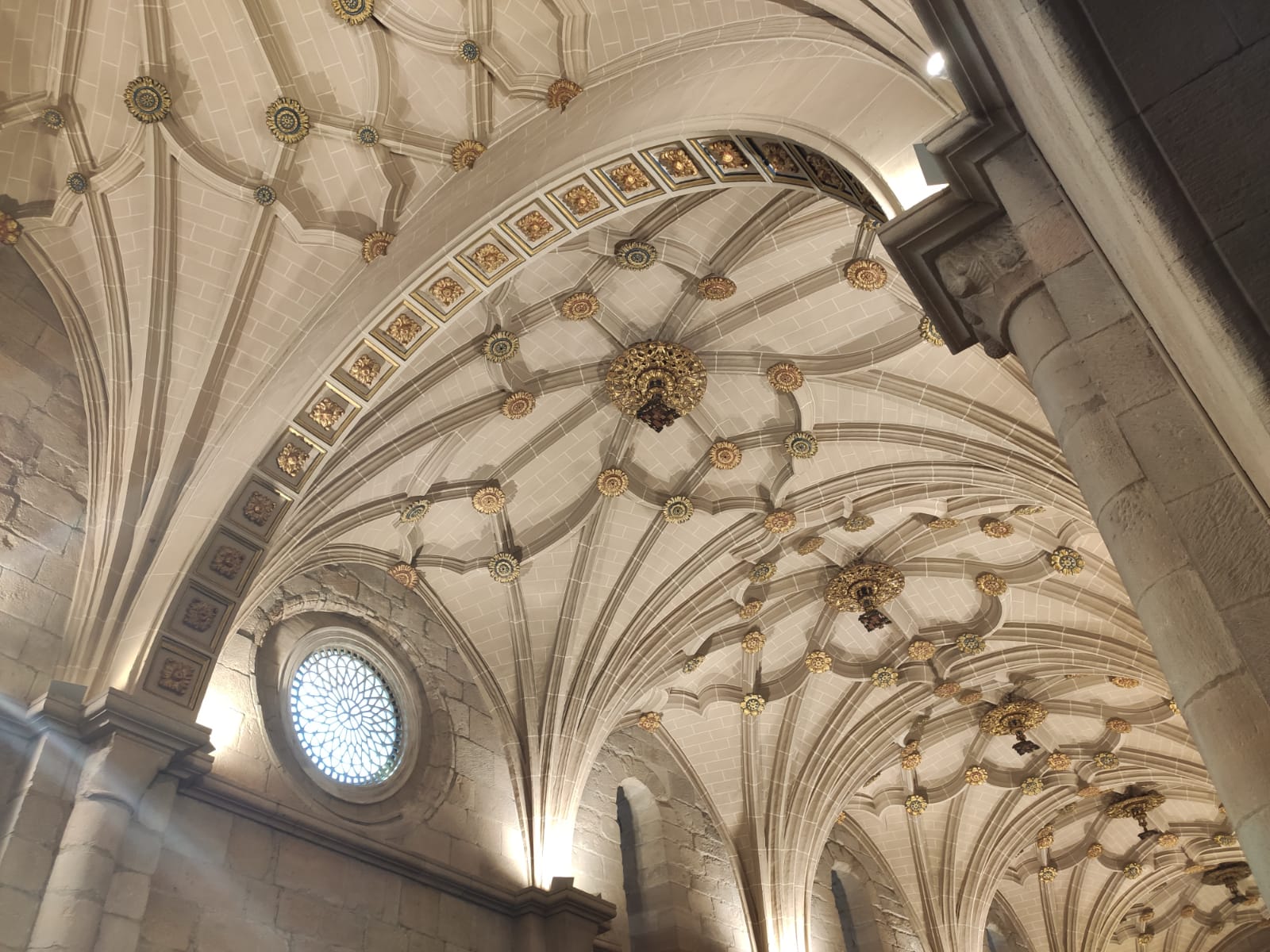 VI Viaje Ligero "Pago D.O.P. Bolandin"