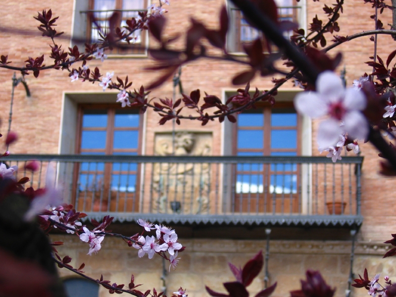 Asamblea General Ordinaria 2022 & Jornada de Hermandad