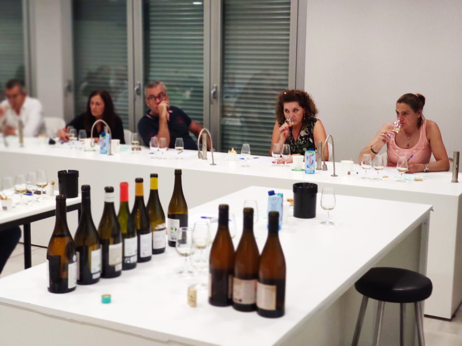 Presentación_”Cata-Estudio de Vinos Blancos de Cataluña”