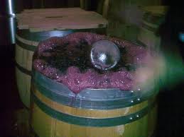 VII Jornada Pre-Vendimias D.O.Ca. Rioja