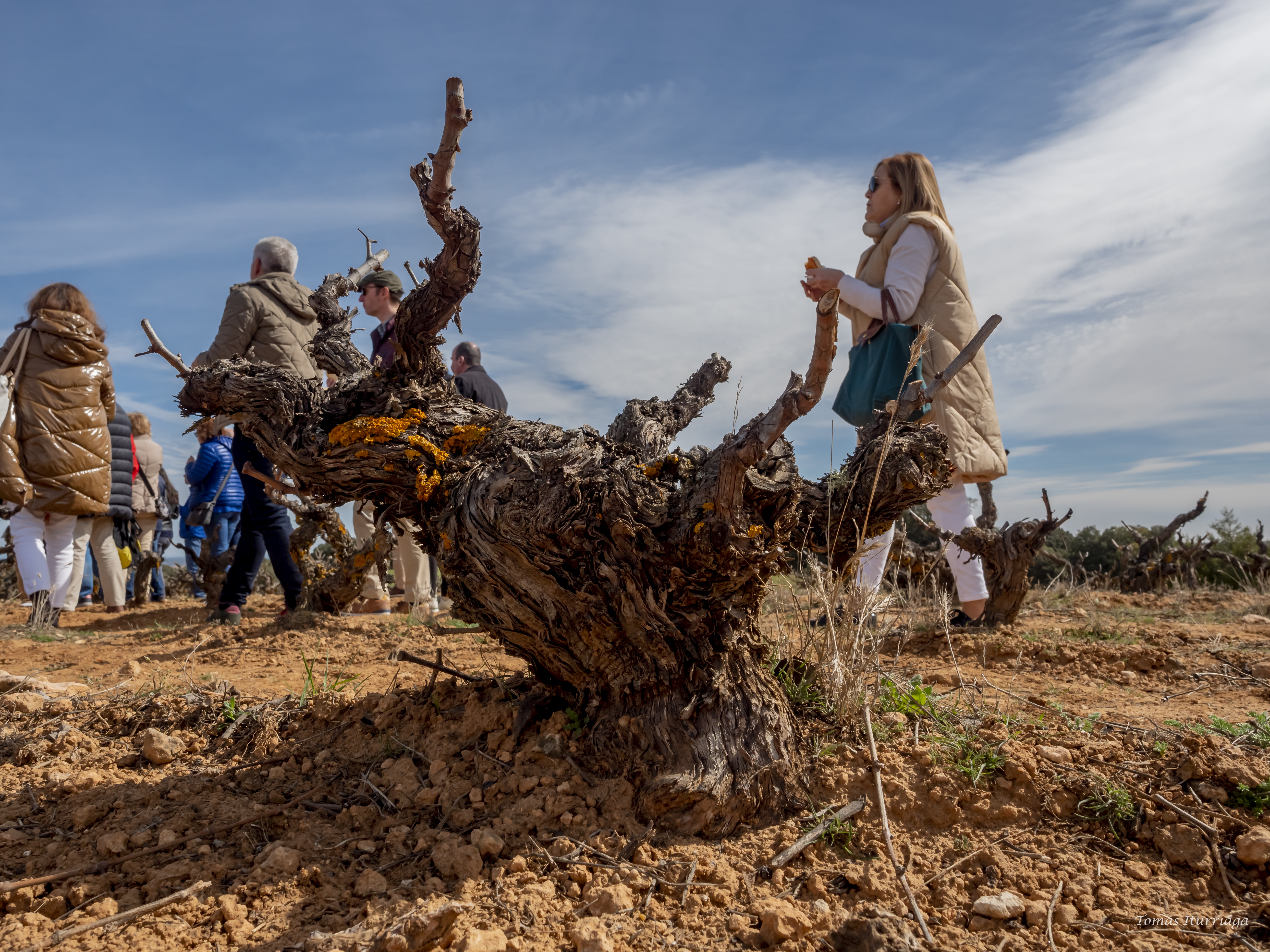 La AER viaja a Ribera del Duero
