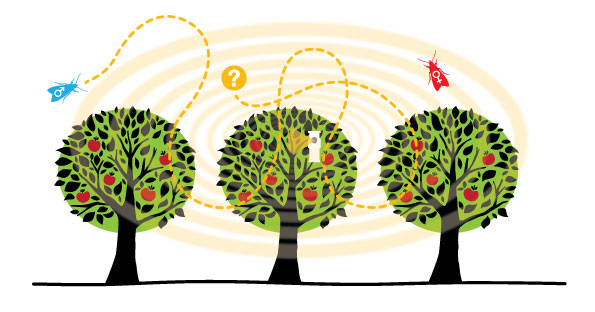 Jornada Suterra: “La última tecnología en el control sostenible de Lobesia botrana”