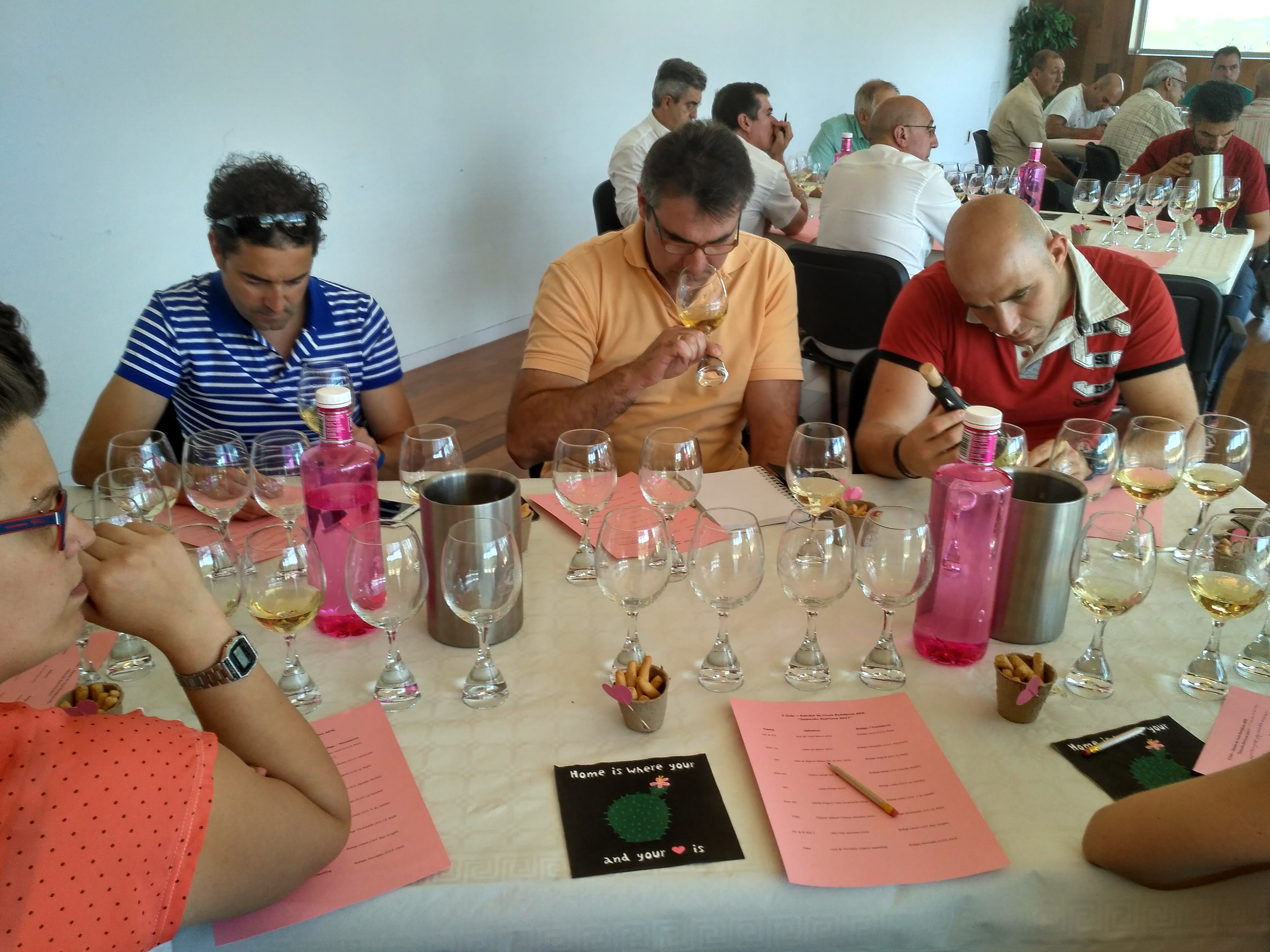 II Cata de Vinos Ecológicos