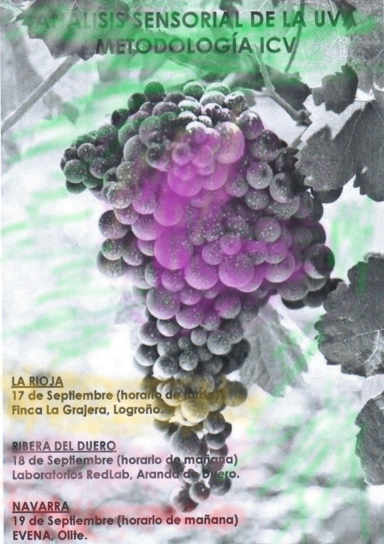 Cursos de Cata de Uvas (Metodología ICV) Septiembre 2019