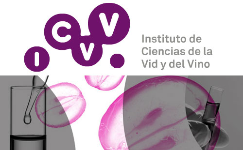 Logo Icvv