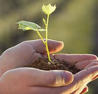 II Jornadas Vitis Navarra: "TEMPRANILLOS PARA EL SIGLO XXI" @ RiojaForum