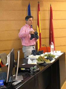 Cursos de Cata de Uvas: Metodología ICV (Ribera del Duero) @ Aranda de Duero