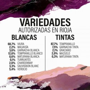 Webinar "Origen e historia de las variedades de vid de la D.O.Ca. Rioja y una mirada al futuro con las nuevas variedades de origen intraespecífico".