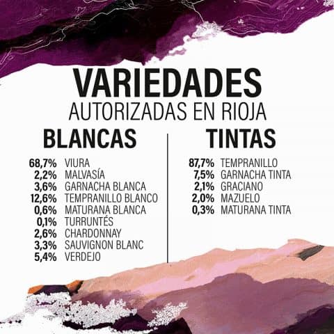 <span class="p-summary">Webinar “Origen e historia de las variedades de vid de la D.O.Ca. Rioja y una mirada al futuro con las nuevas variedades de origen intraespecífico”.</span> Variedades Uva 480x480
