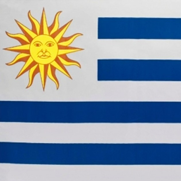 Bandera Uruguay Seleccion 135x75 Cm Mgr Sport Oficial D NQ NP 611510 MLU31244616330 062019 F