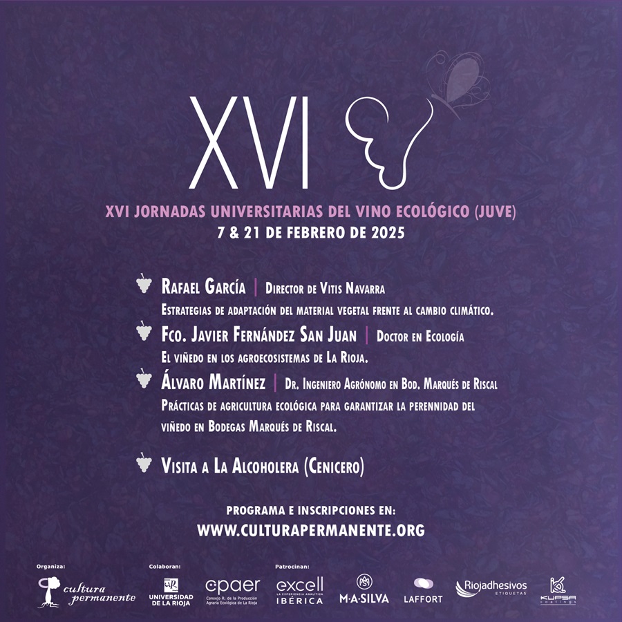 <span class="p-summary">XVI Jornadas JUVE</span> Cartel Xvi Juve 900px